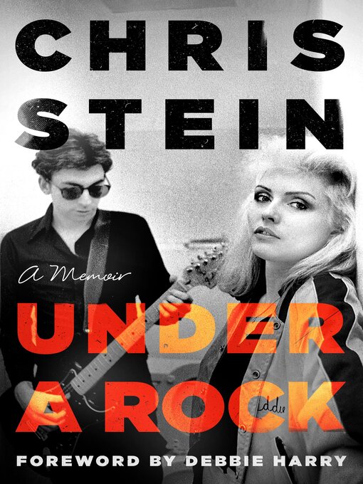 Title details for Under a Rock by Chris Stein - Wait list